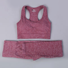 2/3PCS Seamless Women Workout Sportswear